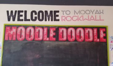 restaurants in rockwall tx mooyah burgers fries shakes