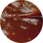 Kc Masterpiece Bbq Sauce