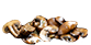 Sauteed Mushrooms