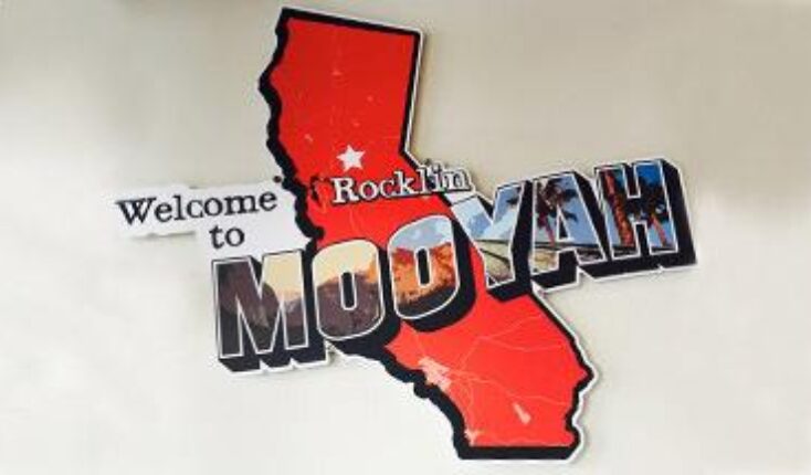 Rocklin California MOOYAH Burgers Fries and Shakes - restaurant interior image